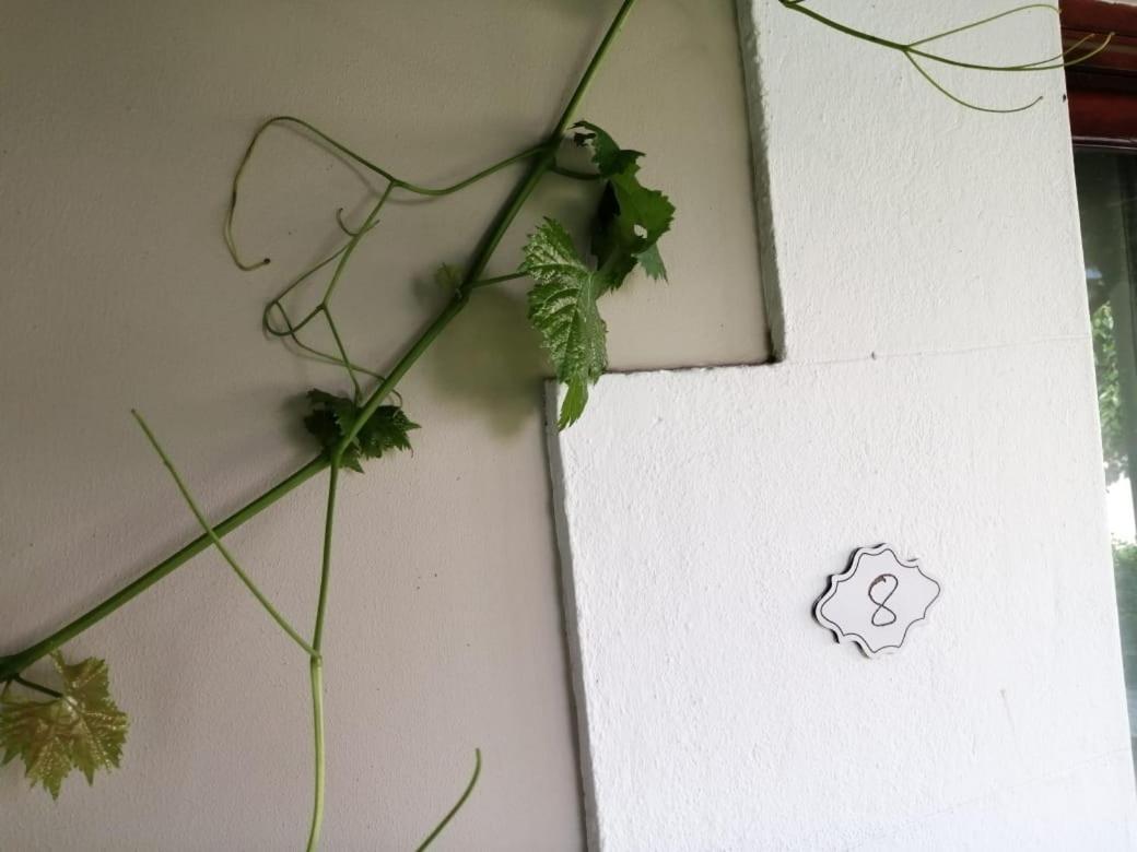 Monte Rosa Guesthouse 罗森维尔 外观 照片