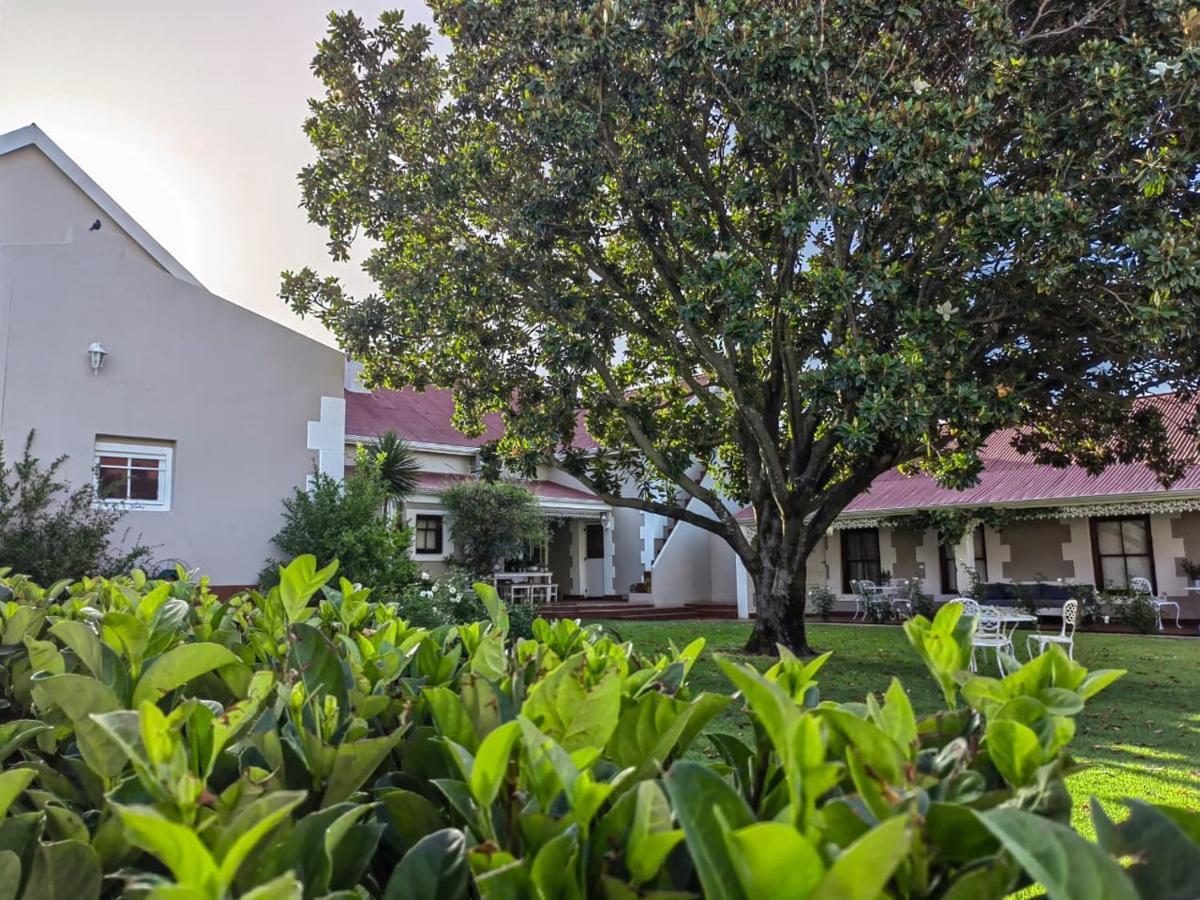 Monte Rosa Guesthouse 罗森维尔 外观 照片